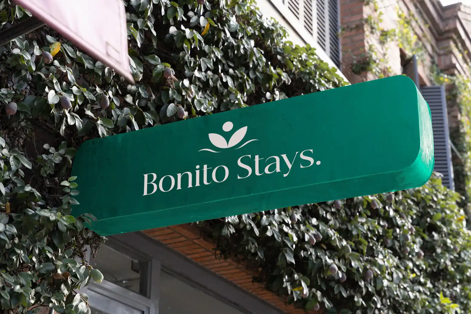 Logomarca Bonito Stays, projeto da Neex Brasil